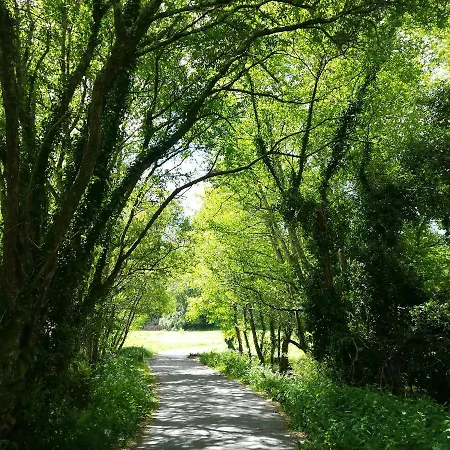 カントリーハウス O Curralino