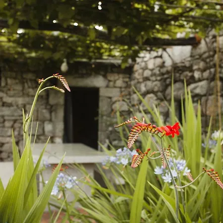 カントリーハウス O Curralino *