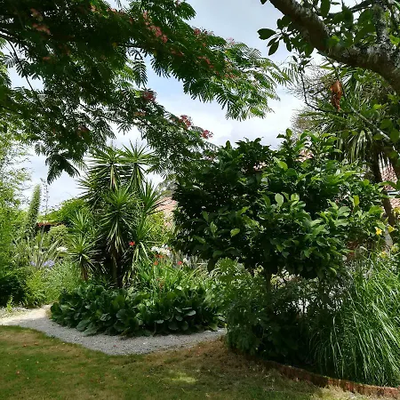 O Curralino * Vilacoba