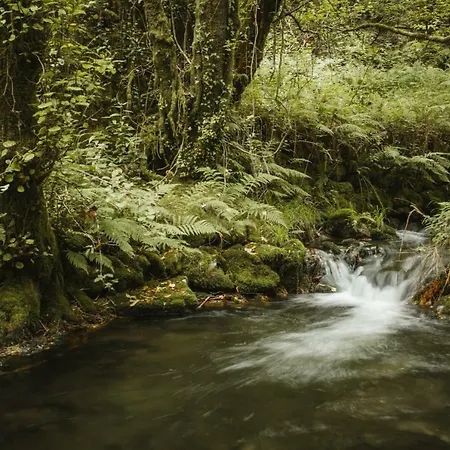 O Curralino * Vilacoba