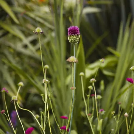 O Curralino カントリーハウス Vilacoba