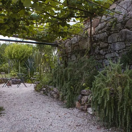 Kır Evi O Curralino